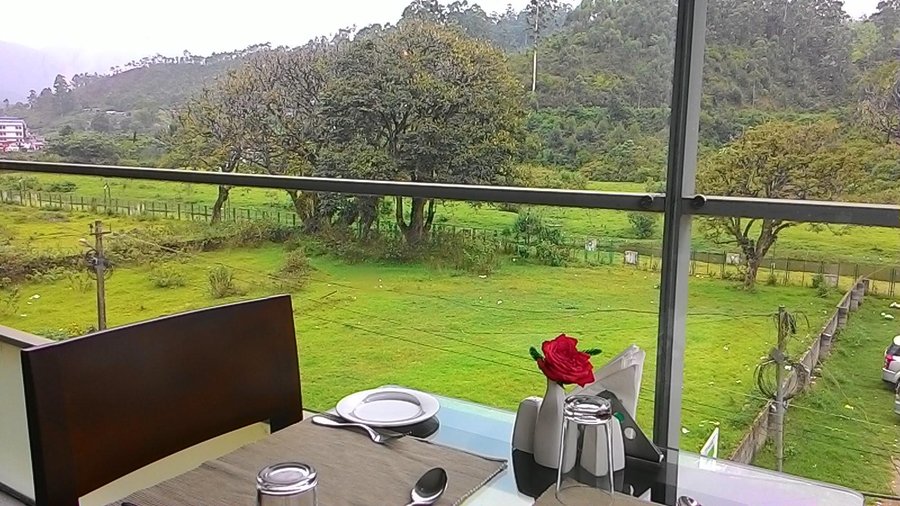 View from Restaurant