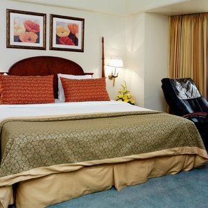 Ramada Plaza by Wyndham Palm Grove, hotel in Mumbai