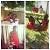Mariam K