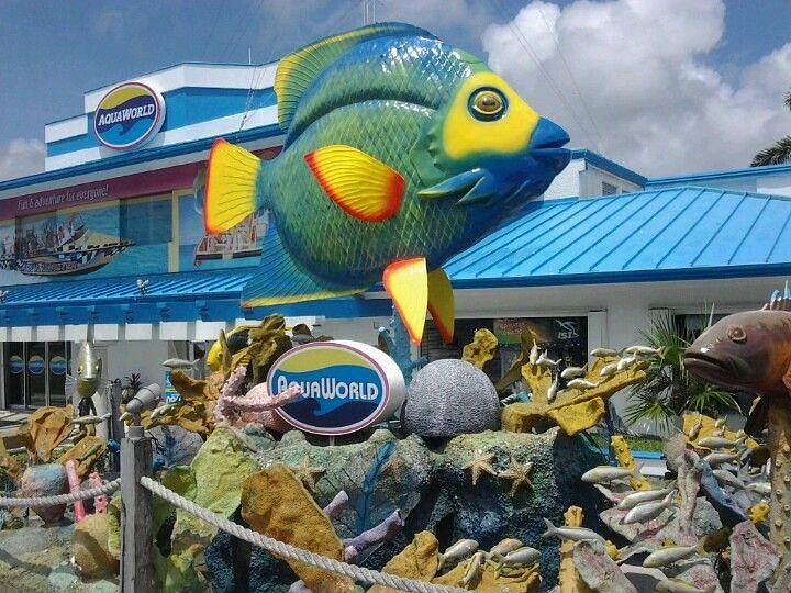 aquaworld cancun excursions