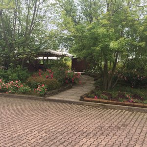 Posto stupendo per qualsiasi evento cordialità simpatia e super piatti da non perdere