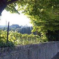 Vista dalla strada, via Mezzavilla