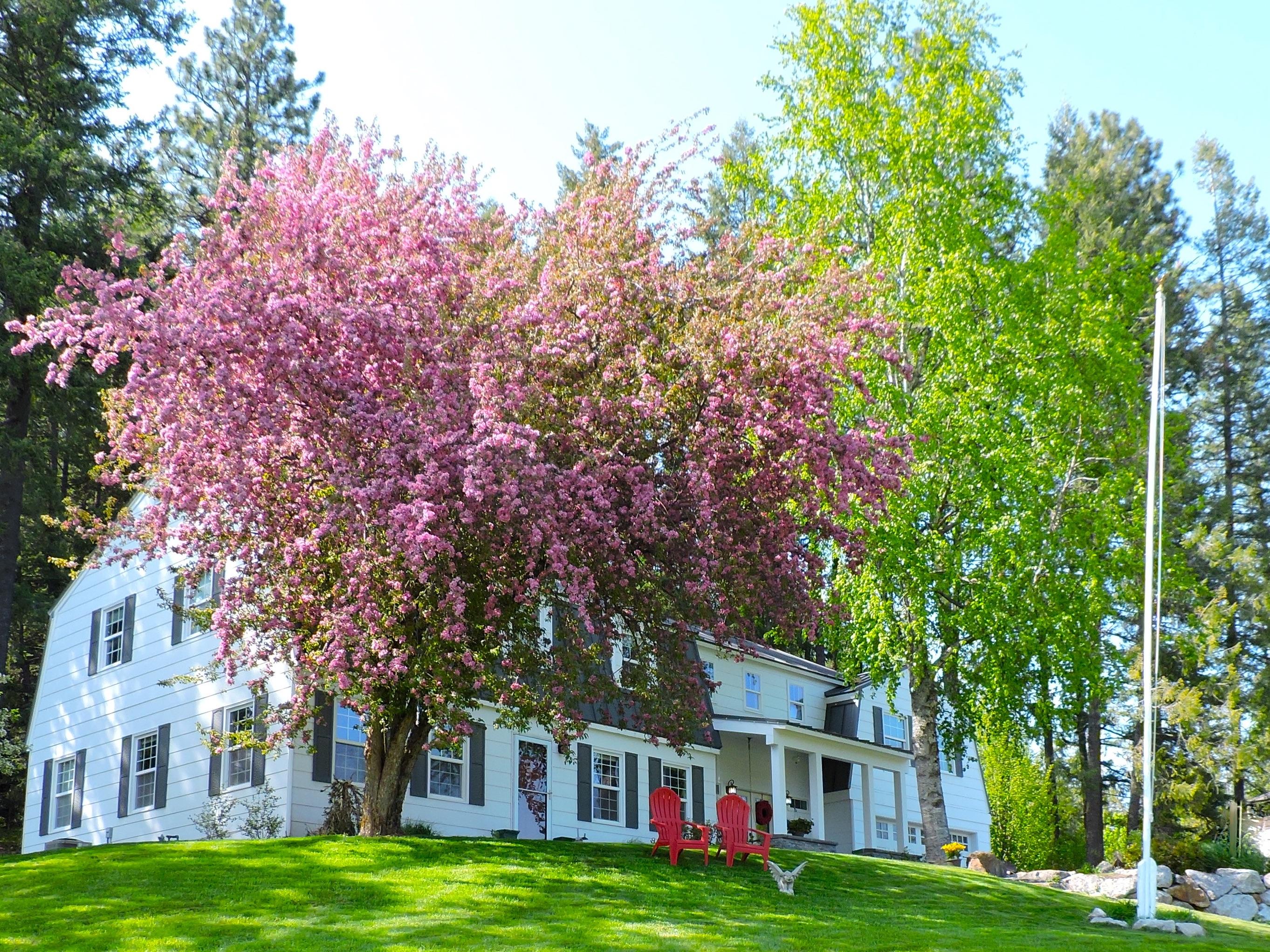 HUCKLEBERRY HILL BED AND BREAKFAST - B&B Reviews (Sandpoint, Idaho)