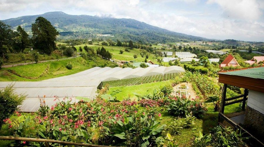 HORTENSIAS BISTRO-CAFE & LODGE - Reviews (Vara Blanca, Costa Rica) HORTENSIAS BISTRO-CAFE & LODGE -  Reviews (Vara Blanca, Costa... 