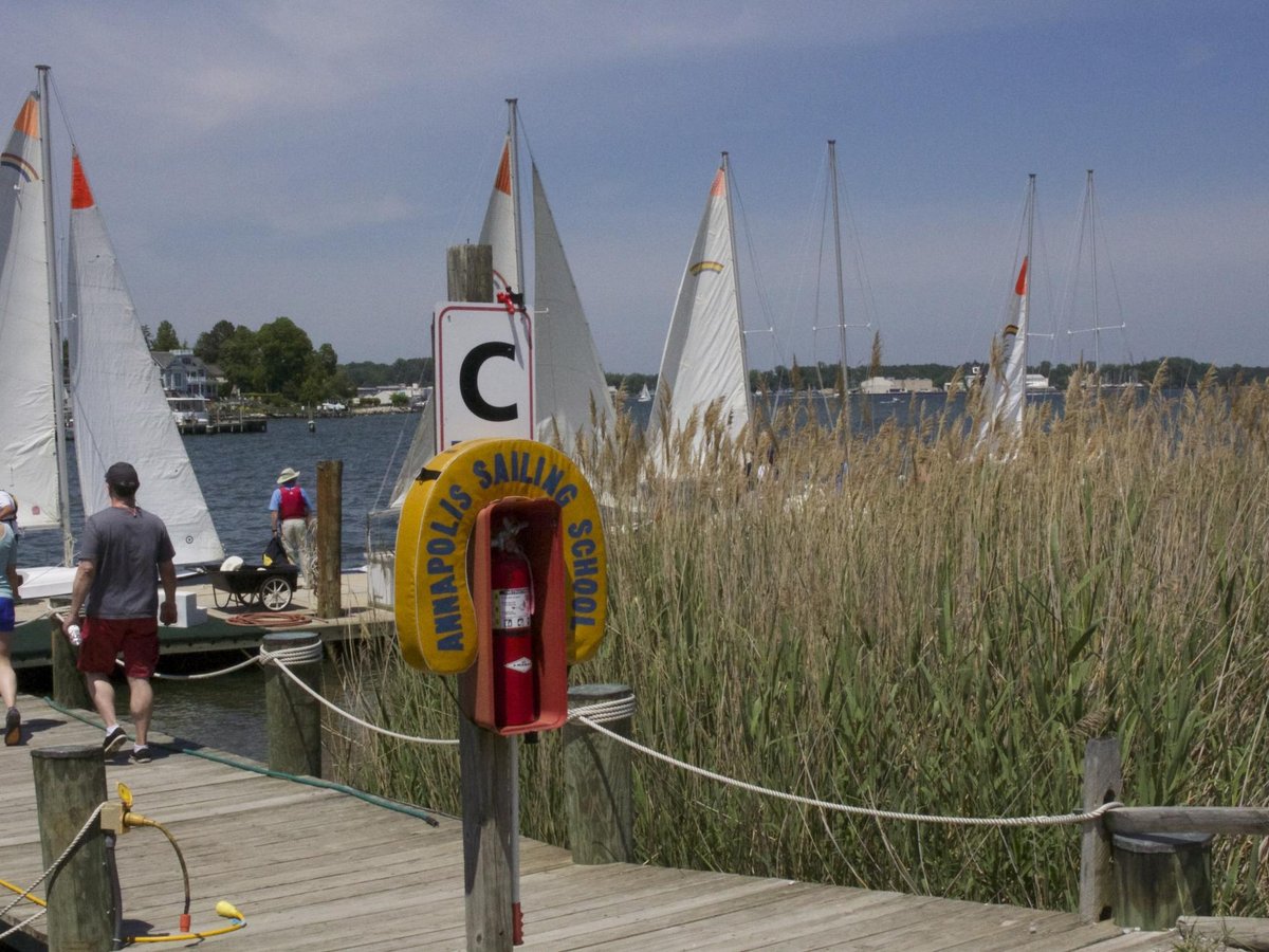 Annapolis Sailing School All You Need to Know BEFORE You Go