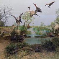 depicting water pond in desert region