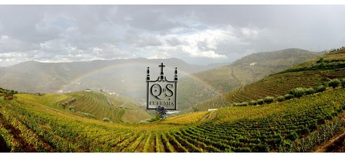 View from Quinta in Douro Valley