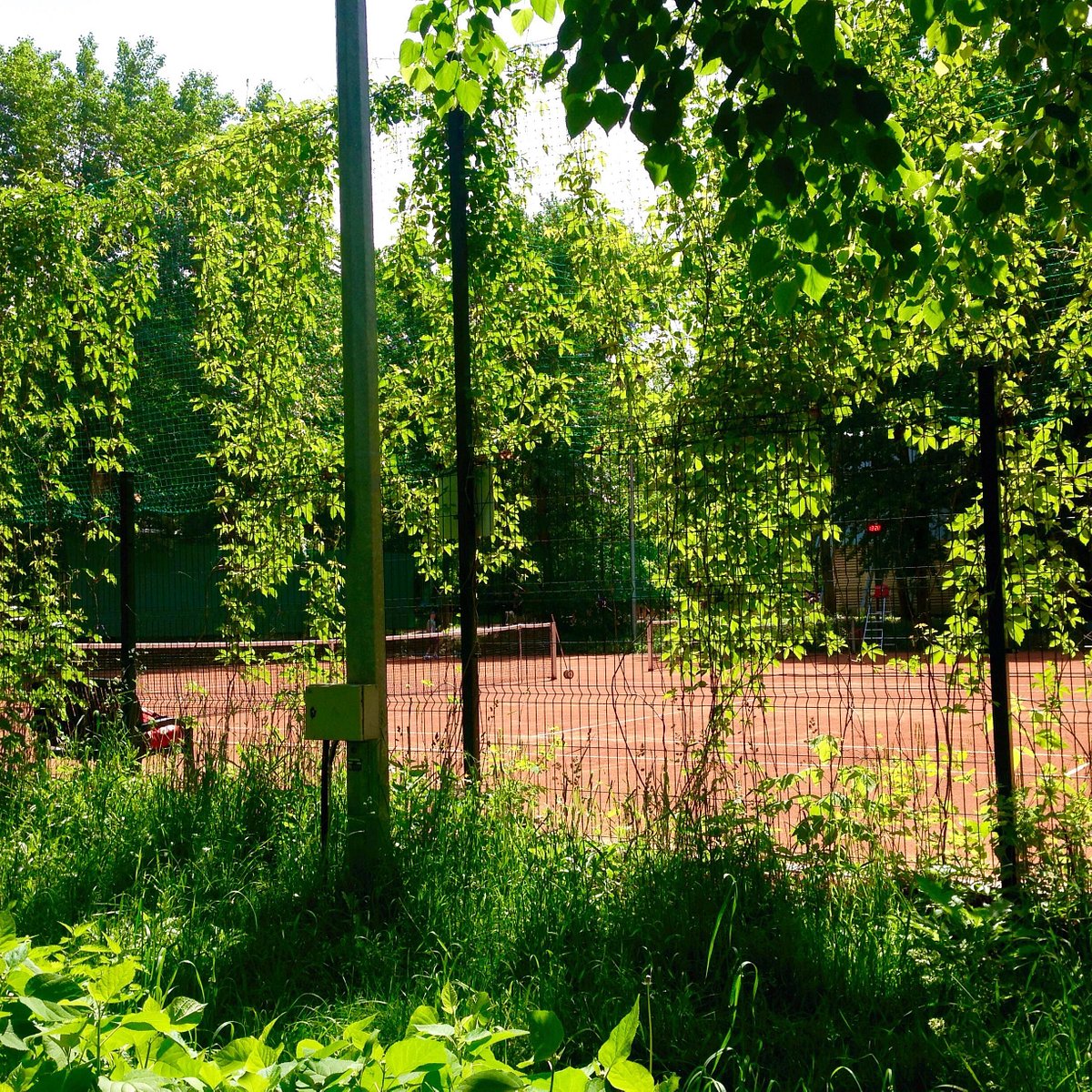 Нескучный сад в Москве: описание, фото, сайт, адрес, карта