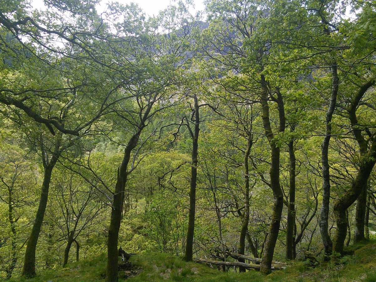 The Bowder Stone (Rosthwaite) - All You Need to Know BEFORE You Go