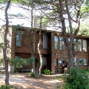 Check in at North of Highland Camping Area for a restful stay near the tip of Cape Cod