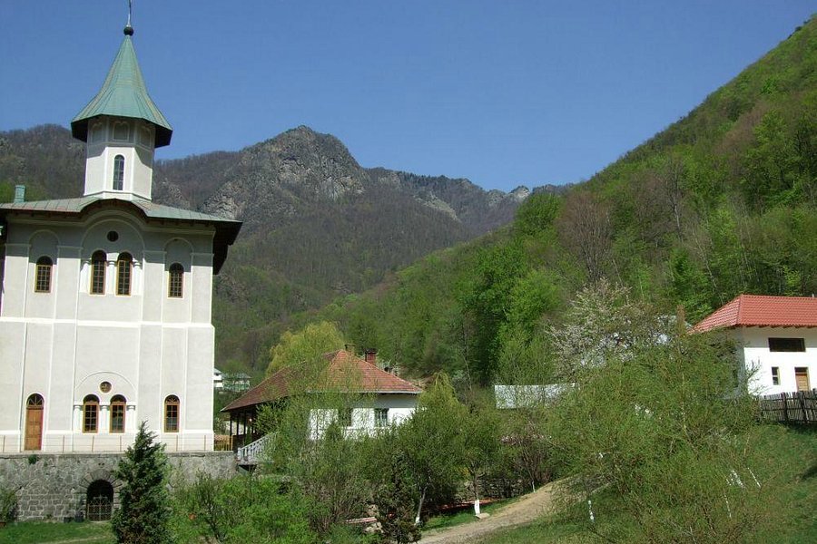 Turnu Monastery image