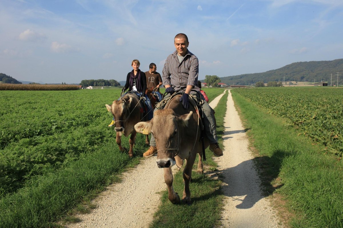 Bolderhof, Hemishofen: лучшие советы перед посещением - Tripadvisor