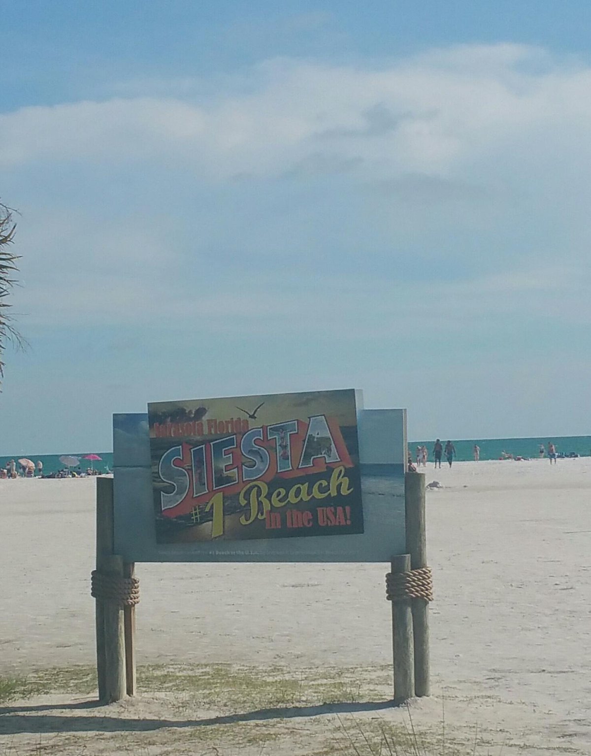 Siesta Key Bungalows Kitchenettes: Pictures & Reviews - Tripadvisor