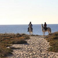 Passeio na Praia / Riding on the Beach