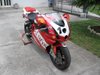 marco74torrice