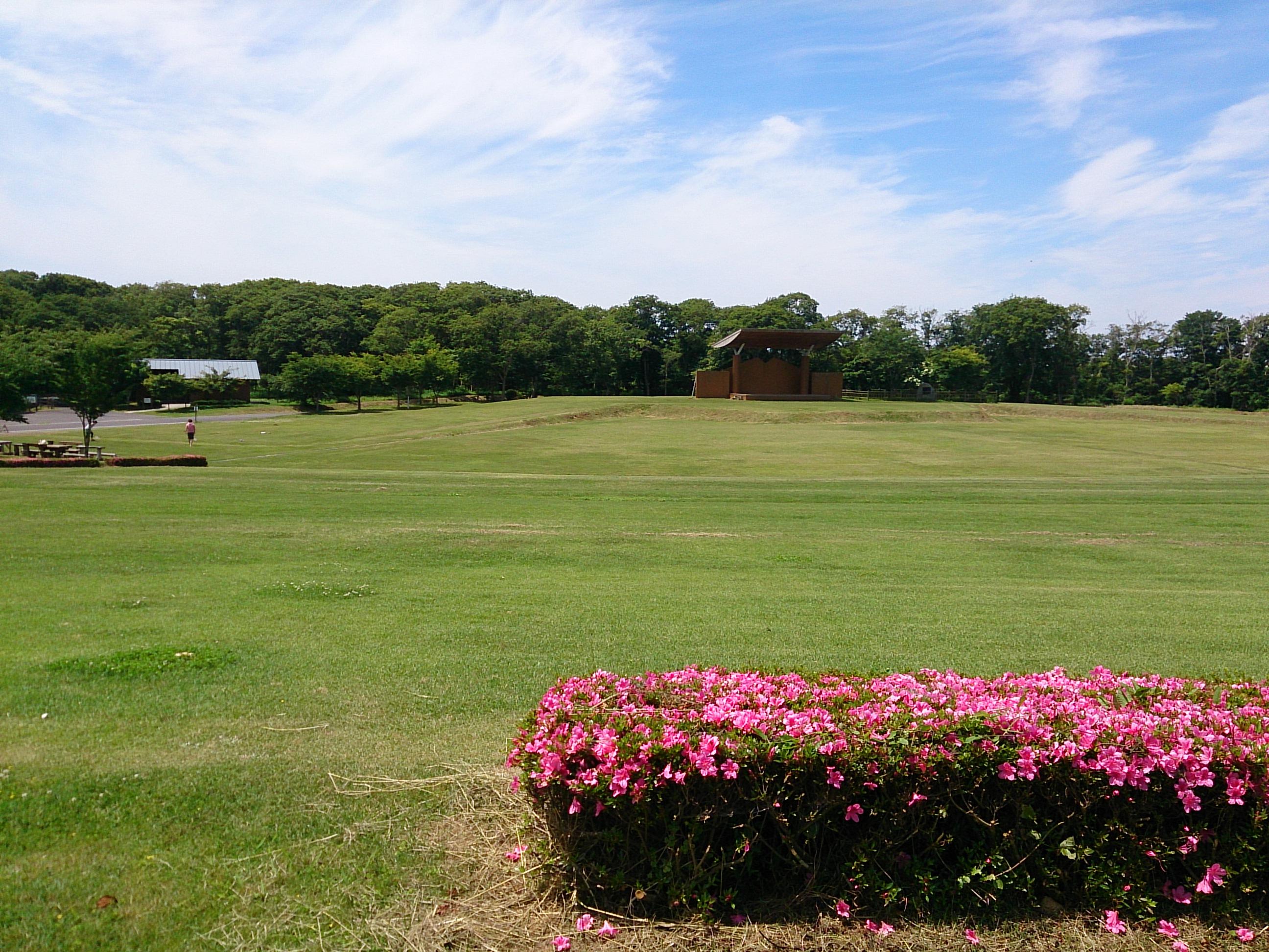 2023年 茨城県水郷県民の森 - 行く前に！見どころをチェック