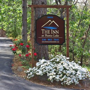 The Acorn