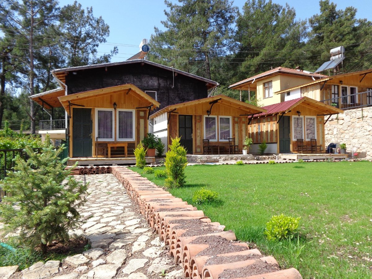 Самый уютный домик в горах - отзыв о Olympos Mountain Lodge, Beycik, Турция  - Tripadvisor