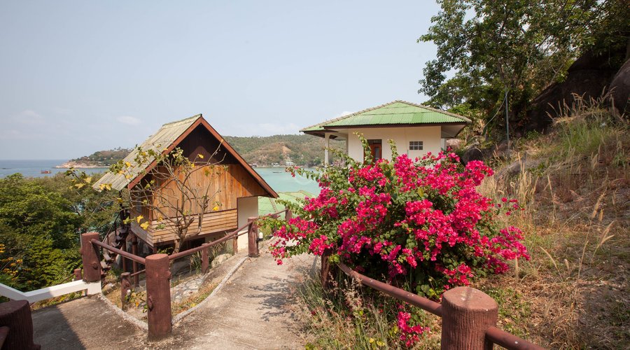 Walkways at the Taatoh Resort & Freedom Beach Resort