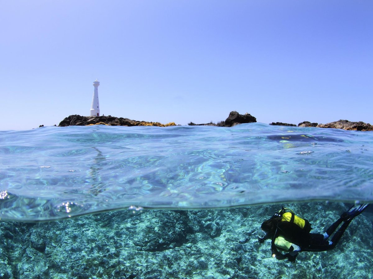 Golden Sail Azores Yacht Charter (Vila do Porto) All You Need to