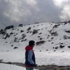RohilWaghmare