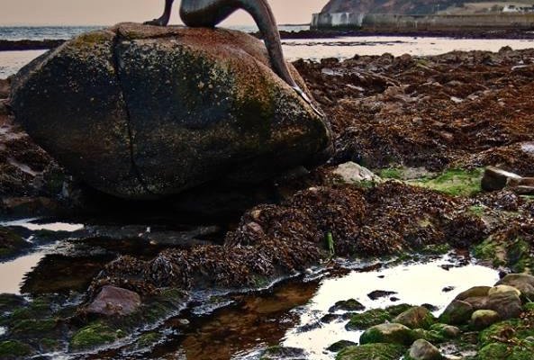 Mermaid sitting on her rock