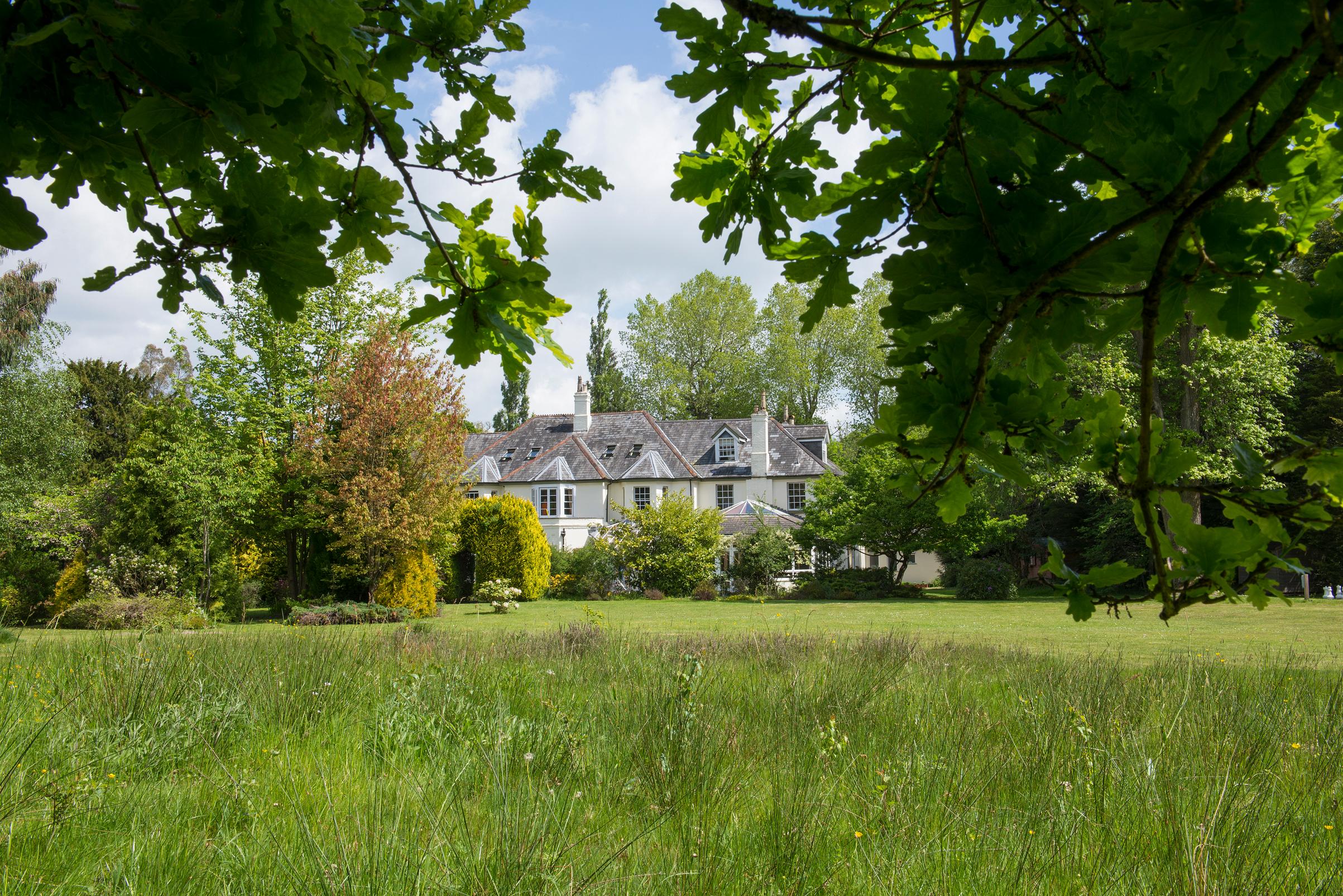 THE 10 BEST Pet Friendly Hotels in New Forest National Park