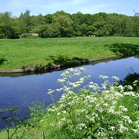 Landgoed Clingendael, La Haya, Holanda.