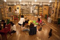 I visited a cat cafe in Korea and I didn't like it - La Vida Nómade