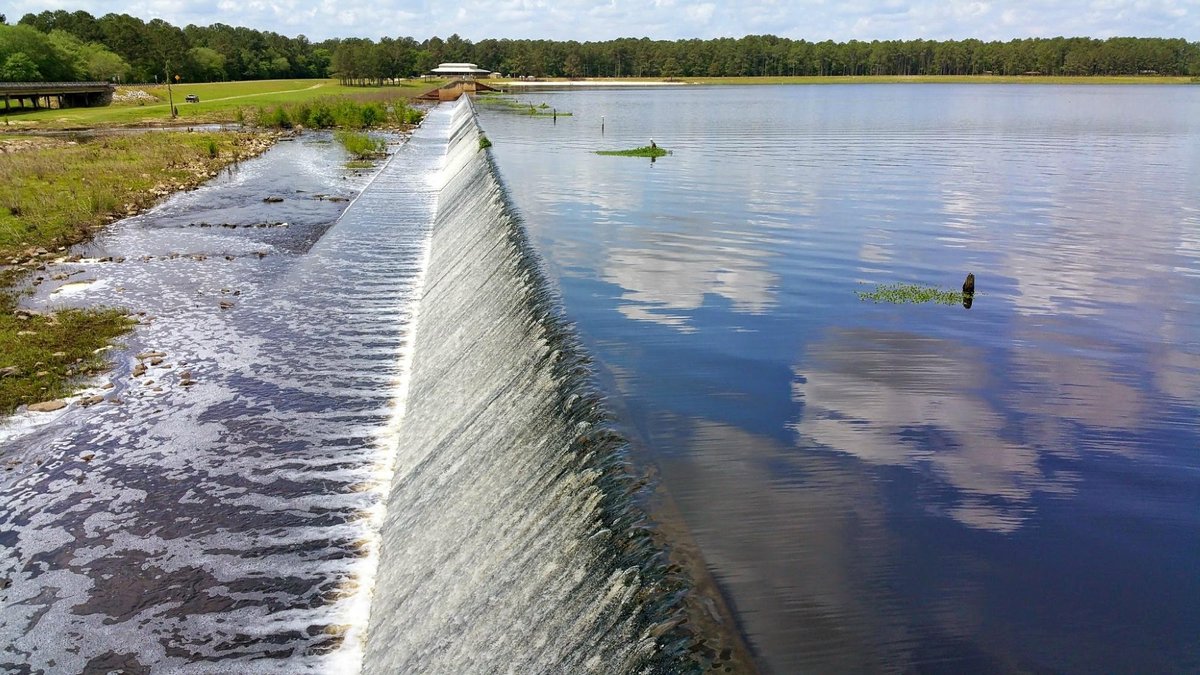 Reed Bingham State Park, Adel: лучшие советы перед посещением - Tripadvisor