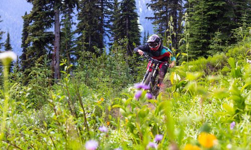 Downhill Mountain Biking in the Sun Peaks Bike Park