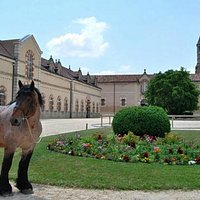 Ecurie et cours du Haras national de Cluny