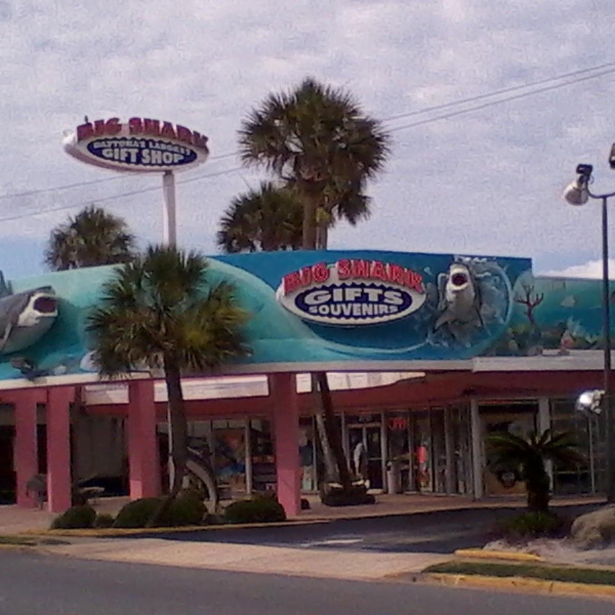 shark shop near me