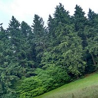 The Arboretum of Tervuren