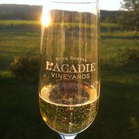 Gaspereau Valley, NS wine country