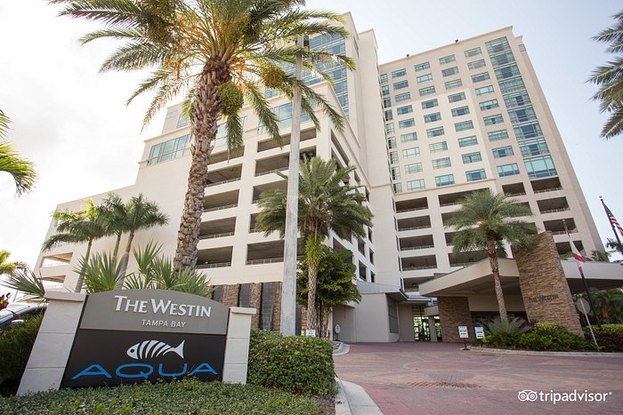 THE WESTIN TAMPA BAY $187 ($̶2̶1̶7̶) - Updated 2024 Prices & Hotel Reviews  - FL