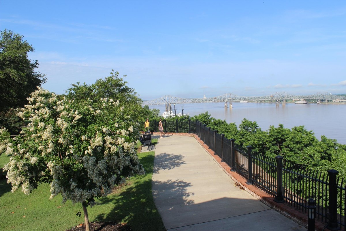 Escape to the Bluffs: A Guide to Mississippi's Natchez State Park