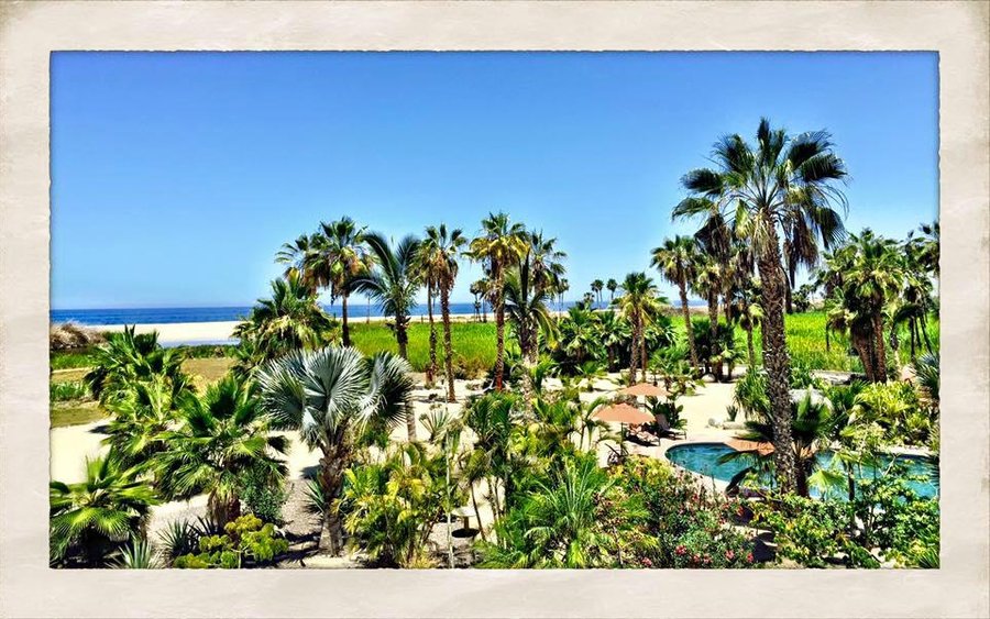 View from above to the ocean