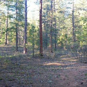 Santa Fe National Forest Campgrounds