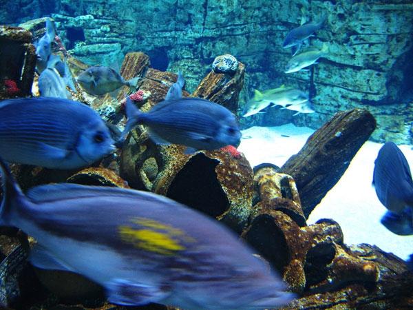 Safari Zoo Mallorca (2025) - All You Need to Know BEFORE You