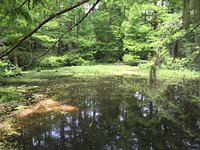 are dogs allowed at northlake nature center