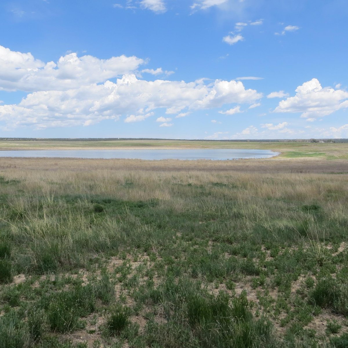 las-vegas-national-wildlife-refuge-2022-lo-que-se-debe-saber-antes-de