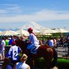 EmeraldDowns