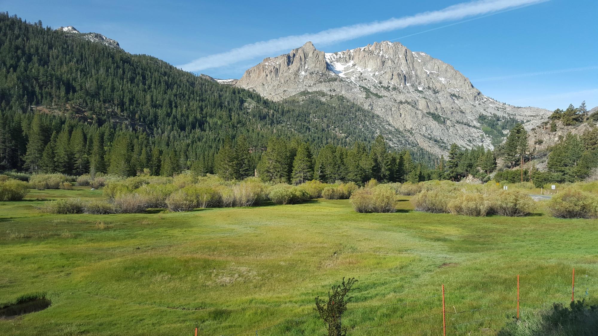 REVERSE CREEK LODGE - Reviews (June Lake, CA)