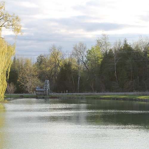 14 Fishing Spots In Toronto/GTA To Go For Fishing With Kids