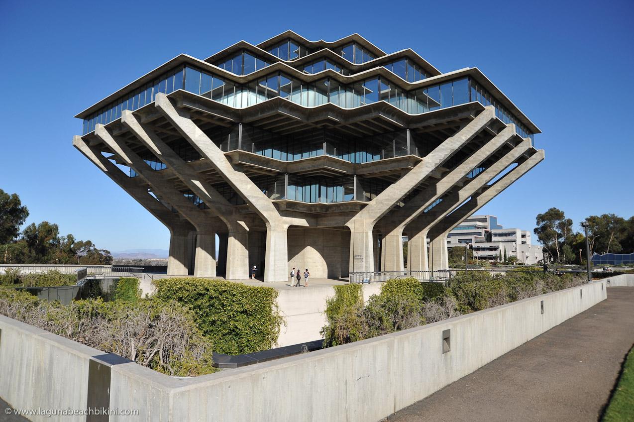 University Of California San Diego La Jolla Lohnt Es Sich Mit Fotos   Ucsa 