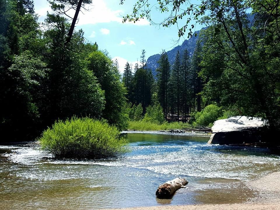 Sequoia lakes outlet trail