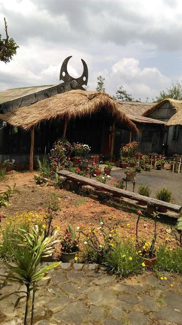 TOUPHEMA TOURIST VILLAGE (Kohima, Nagaland) - Lodge Reviews ...