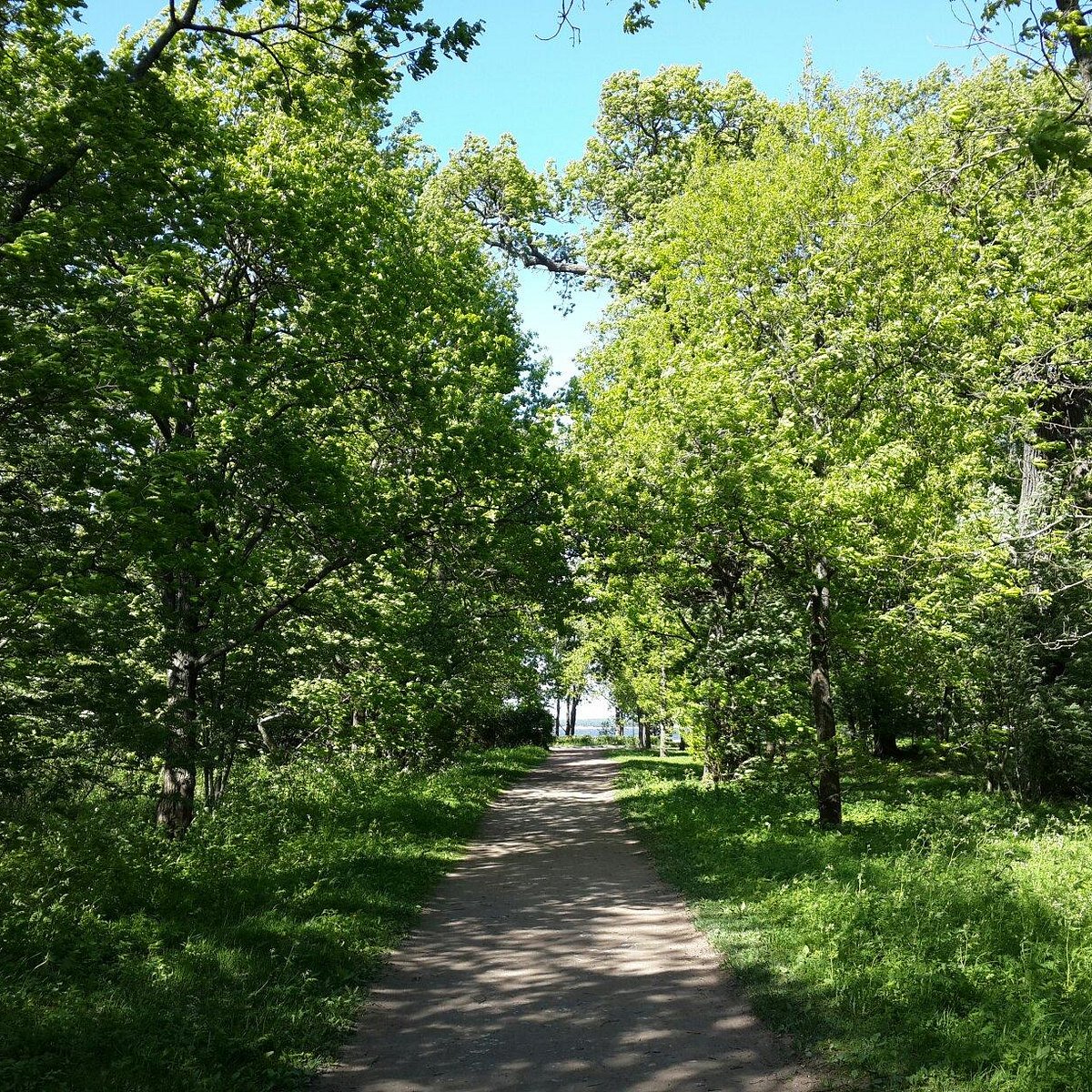 Парк культуры и отдыха дубки. Парк Дубки в Сестрорецке. Парк ближние Дубки. Парк Дубки в Сестрорецке фото. Пляж Дубки в Сестрорецке.