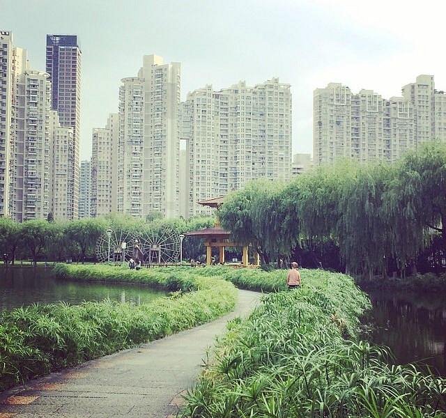 Wenzhou Maanchi Park image